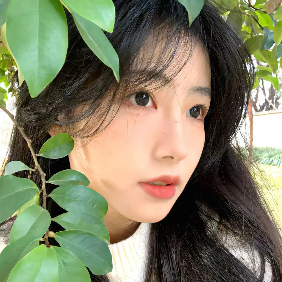 大家族粤语